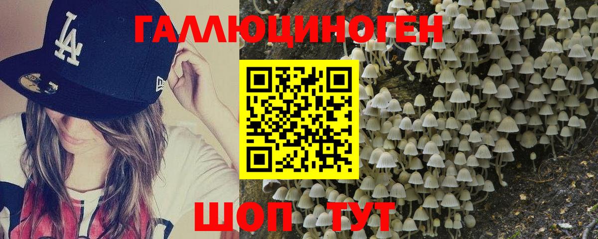 хочу наркоту  Галлюциногенные грибы Psilocybine cubensis  Вход с VPN  Куйбышев  Псилоцибиновые грибы мухоморы 